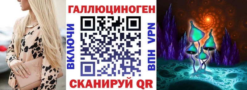 Псилоцибиновые грибы Psilocybine cubensis  Гусев 