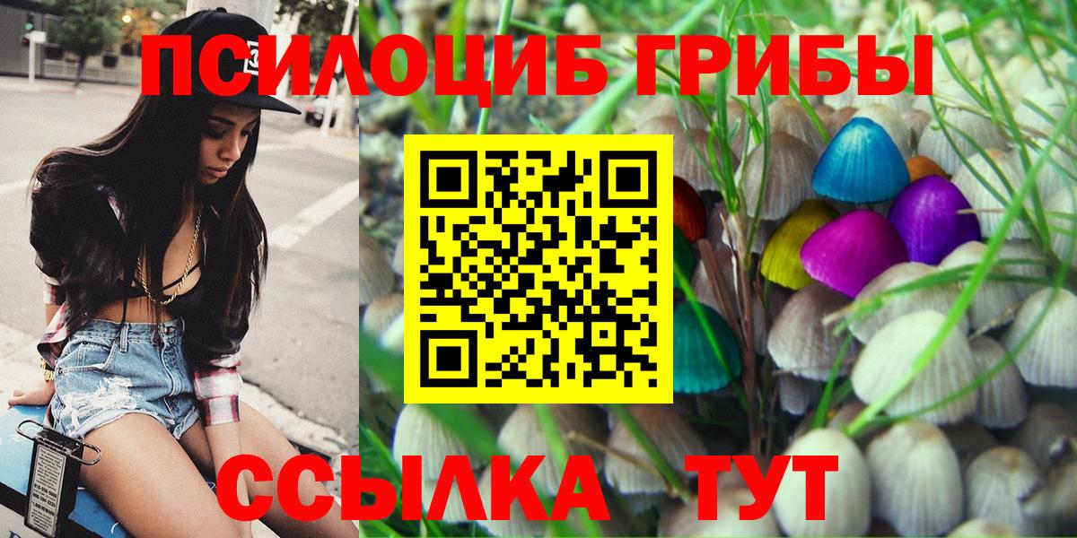 Псилоцибиновые грибы Psilocybine cubensis Гусев