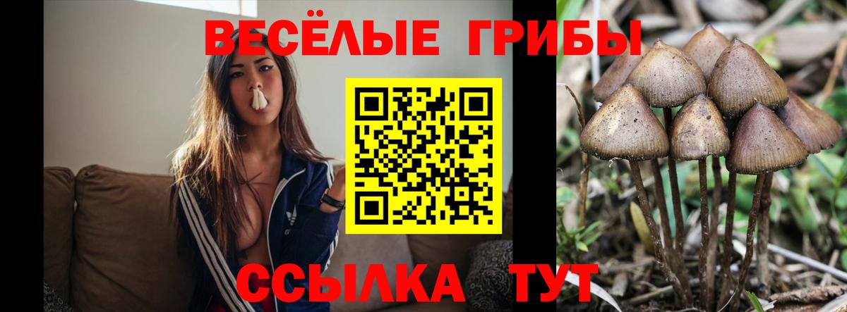 Экстази Гусев