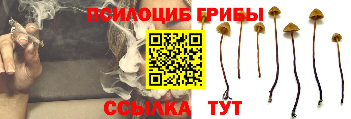 Галлюциногенные грибы прущие грибы  Вход с VPN  Псилоцибиновые грибы ЛСД  Гусев 