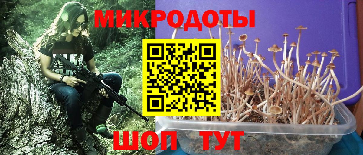 Галлюциногенные грибы GOLDEN TEACHER  Галлюциногенные грибы MAGIC MUSHROOMS  Гусев 